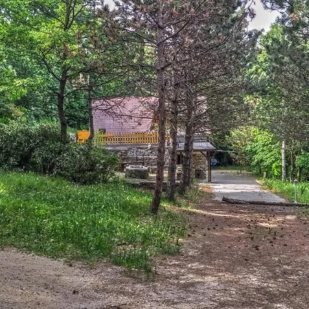 Erdo Melyen Haziko 펜션 Dörgicse